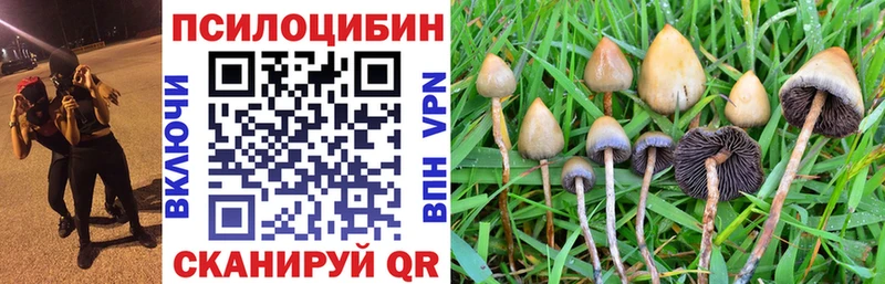 закладки Белинский hydra tor Псилоцибиновые грибы прущие грибы